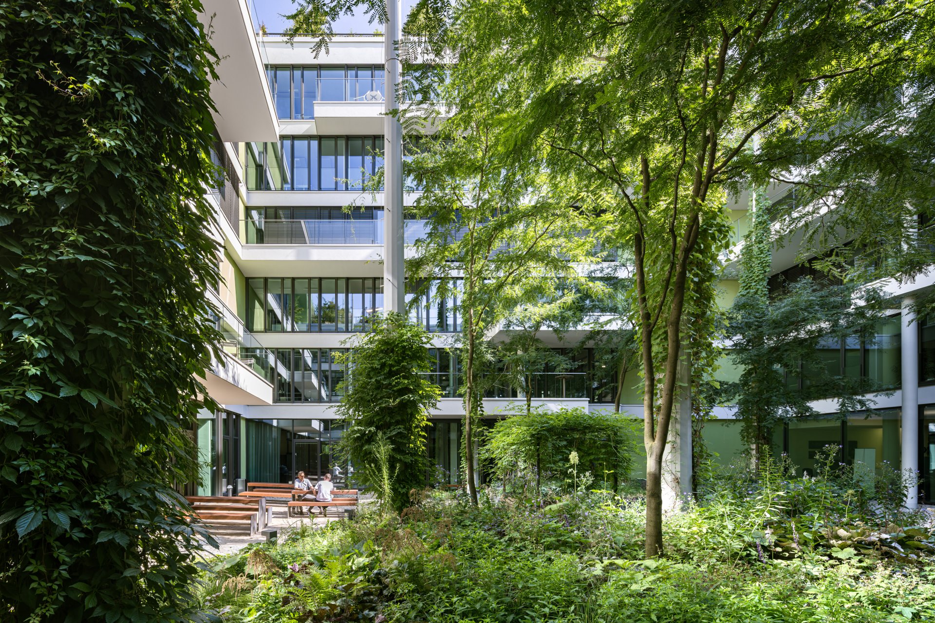 6a_MEIXNER SCHLUETER WENDT_Atreeum_LG