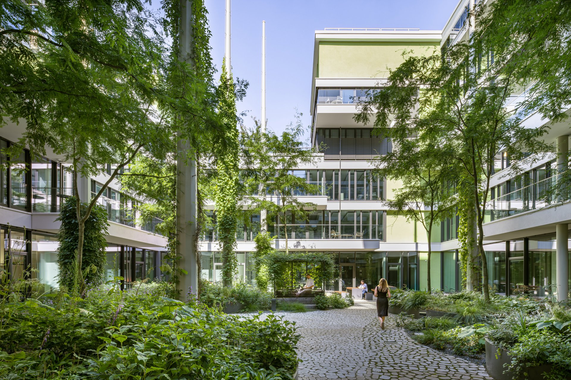 5a_MEIXNER SCHLUETER WENDT_Atreeum_LG